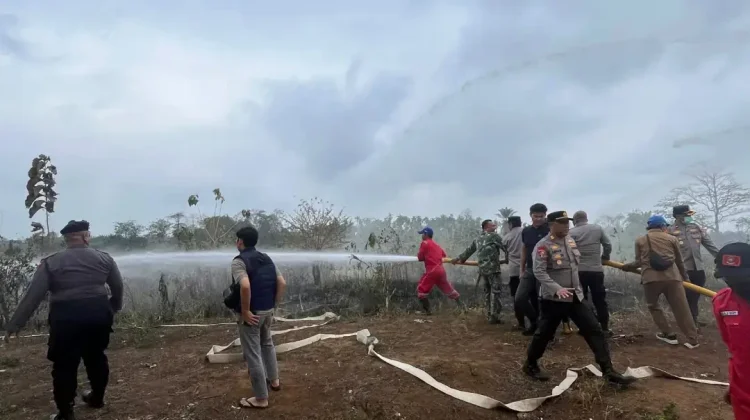 Babinsa Koramil Kaur Selatan Pantau Lokasi Kebakaran Hutan