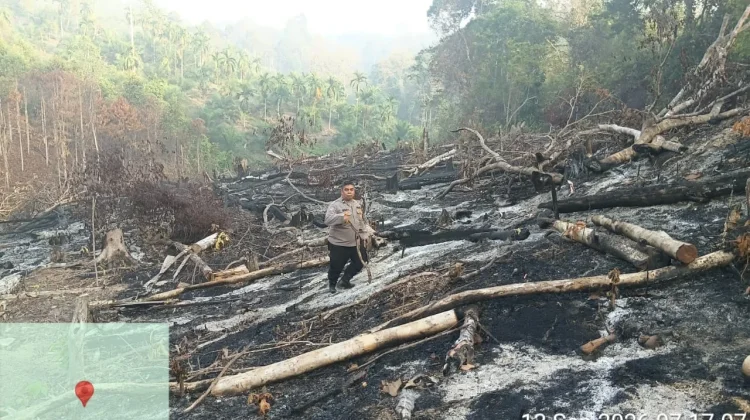Masih Ditemukan Pembukaan Lahan Dibakar, Polres Kaur Ingatkan Waspada Karhutla