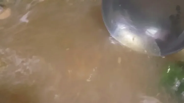 Resep Kuah Bakso Berkaldu Gurih
