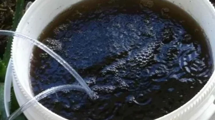 Cara Pengolahan Sampah Dapur Menjadi Pupuk Kompos Cair