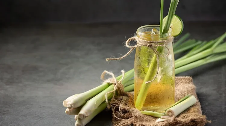 Manfaat dan Cara Pengolahan Batang Serai Menjadi Minuman Sehat