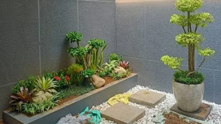 Peluang Usaha Jasa Penataan Taman Rumah Minimalis dan Kiatnya