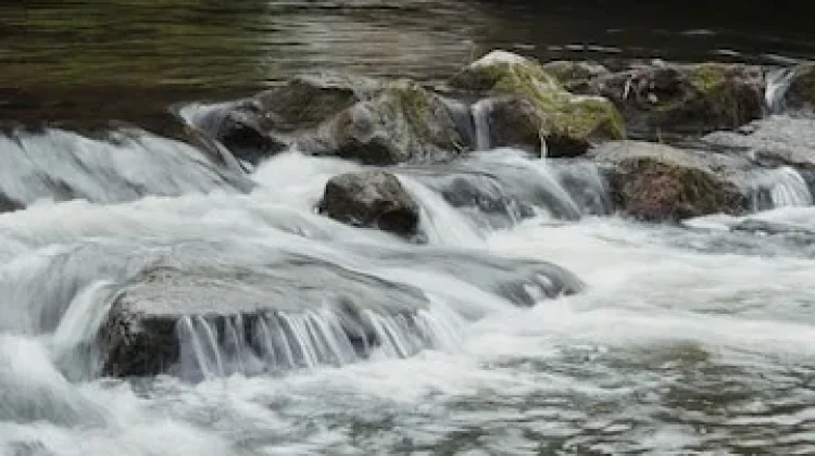 Langkah Praktis Ciptakan Ekosistem Sungai Pemukiman yang Bersih