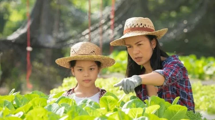 Kiat Membentuk Karakter Anak Melalui Aktivitas Berkebun