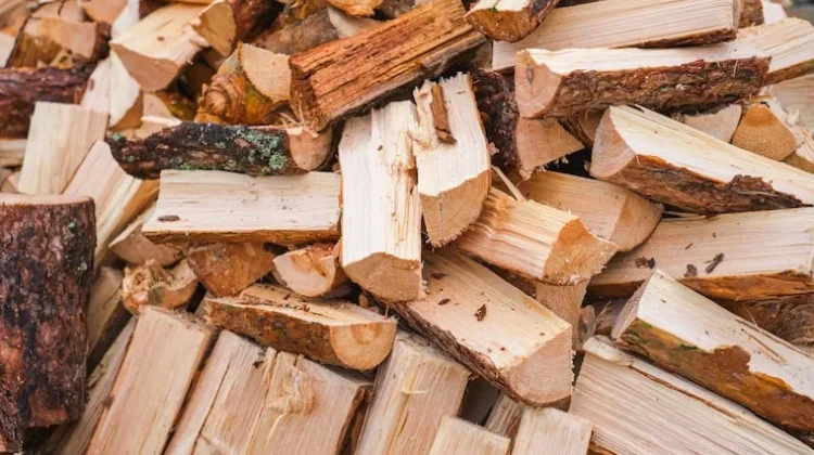 Olah Limbah Sengon Jadi Briket Energi Biomassa Bernilai Ekonomi