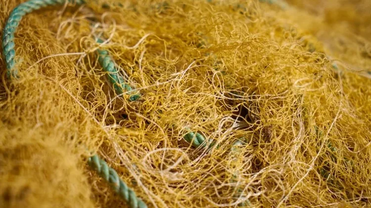 Pemanfaatan Sabut Kelapa Jadi Komposit Pengganti Fiberglass