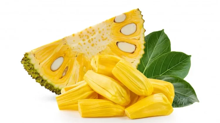 Pemanfaatan Tepung Biji Nangka untuk Kue