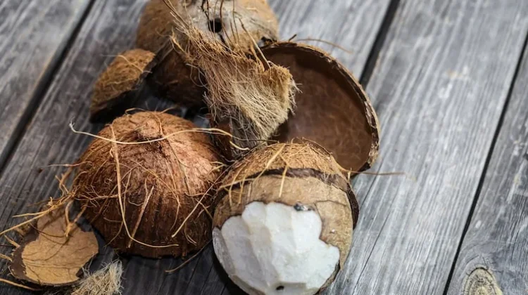 Langkah Praktis Olah Tempurung Kelapa Jadi Karbon Aktif Berkualitas