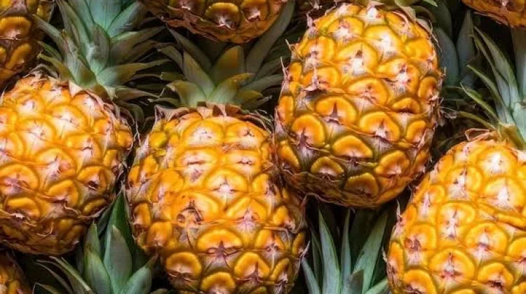 Pemanfaatan Serat Nanas untuk Bahan Komposit