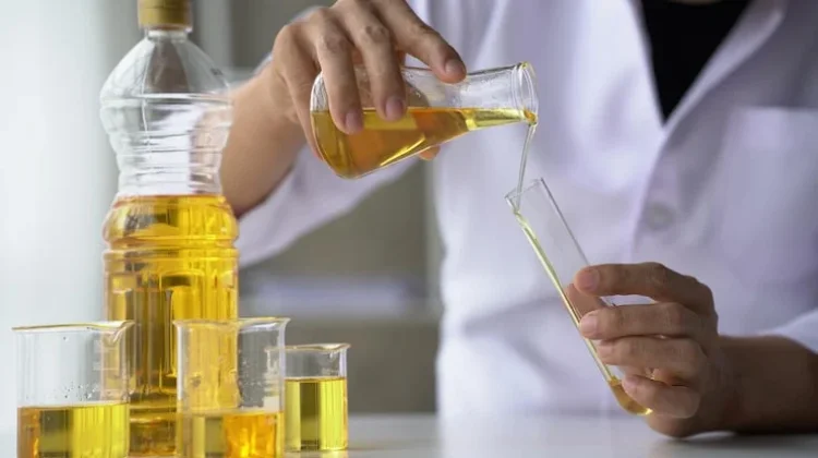 Langkah Praktis Ekstraksi Minyak Nabati dengan Teknologi Ultrasonik
