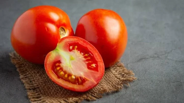 Langkah Praktis Penanganan Pascapanen Tomat untuk Petani Lokal