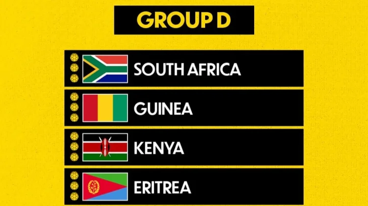 Kualifikasi Piala Afrika: Afrika Selatan Menang 2-1 Atas Guinea