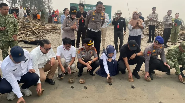 HIPMI Peduli Lepas Penyu dan Tanam Mangrove, Dorong Generasi Muda Jaga Pesisir