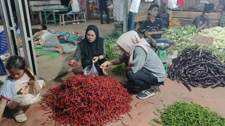 Cabai Rawit Tembus Rp95 Ribu, Belanja Warga Bengkulu Makin Tertekan