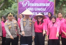 Polres Kaur Tanam Uwi Ungu Dukung Pangan