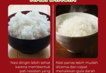 Nasi Hangat vs Nasi Dingin, Mana yang Lebih Sehat?