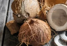 Potensi Ekonomi dan Lingkungan dari Limbah Batok Kelapa