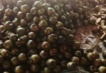 Cara Membuat Kolang Kaling Dari Buah Aren