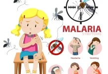Pemanfaatan Tanaman Obat Tradisional untuk Gejala Malaria