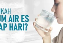 Kenapa Banyak Orang "Nggak Bisa" Minum tanpa Es?