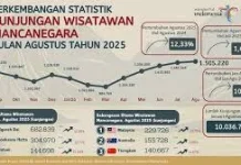 Wisman 3 Negara Paling Banyak ke Indonesia