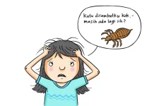 Kutu Rambut Berasal dari Mana? Ini Fakta Sebenarnya