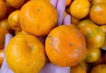 Makanan yang Sebaiknya Dihindari saat Sahur agar Perut Aman