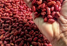 Tips Memasak Kacang Merah agar Cepat Lunak