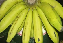 6 Manfaat Konsumsi Pisang Ambon untuk Kesehtan