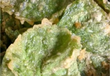Resep Sederhana Tempura Bayam
