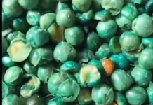 Kacang Polong untuk Jaga Kesehatan Tuhuh