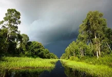 Mengenal Suaka Margasatwa Barumun di Sumatra Utara