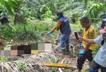 Warga Temukan Jenazah di Kebun Sawit Talang Marap