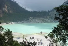 Wisata Kawah Putih Jawa Barat