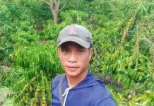 Menjelang Idul Fitri, Harga Kopi Turun Dibanding Musim Panen Sebelumnya