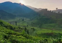 Mengenal Gunung Burangrang di Jawa Barat