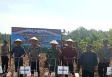 Babinsa Koramil 408-04/KS  Dampingi Penanaman Jagung Seretak