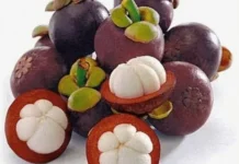 Khasiat Buah Manggis untuk Kesehatan