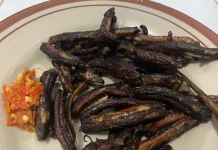 Lezat dan Bergizi, Ini Manfaat Belut untuk Kesehatan