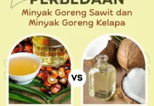 Minyak Kelapa vs Minyak Sawit: Mana yang Lebih Baik untuk Dapur Mama?