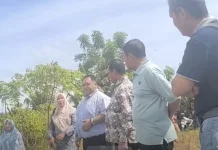 Bupati Bengkulu Selatan Ingatkan Petani Melakukan Antisipasi Ketersediaan Air