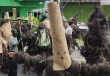 Mengenal Keunikan Tradisi Sengkure di Kabupaten Kaur
