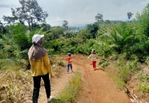 Manfaat Sinar Matahari bagi Kesehatan