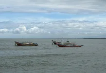 Nelayan Bengkulu Keluhkan Hasil Tangkapan Menurun, Diduga akibat Praktik Penangk