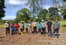 Bhabinkamtibmas Padang Serai Dampingi Tanam Jagung Program Ketahanan Pangan