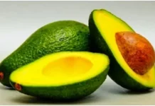 Alpukat, Buah dengan Kandungan Lemak Tertinggi yang Justru Menyehatkan