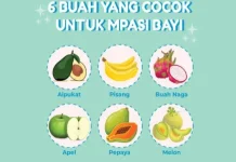 Buah Pertama yang Aman untuk Bayi 6 Bulan: Pilihan Sehat untuk Awal MPASI