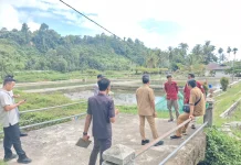 Pemkab Kaur Akan Optimalkan Balai Benih Ikan Di Kecamtan Nasal