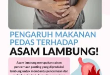 Gemar Makanan Pedas? Ini Dampaknya bagi Lambung yang Perlu Kamu Tahu