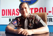 PAD Satpol PP Kaur Tembus 500 Persen, Kesadaran Warga Disorot